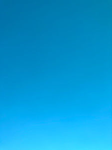 Meet your Posher, Will